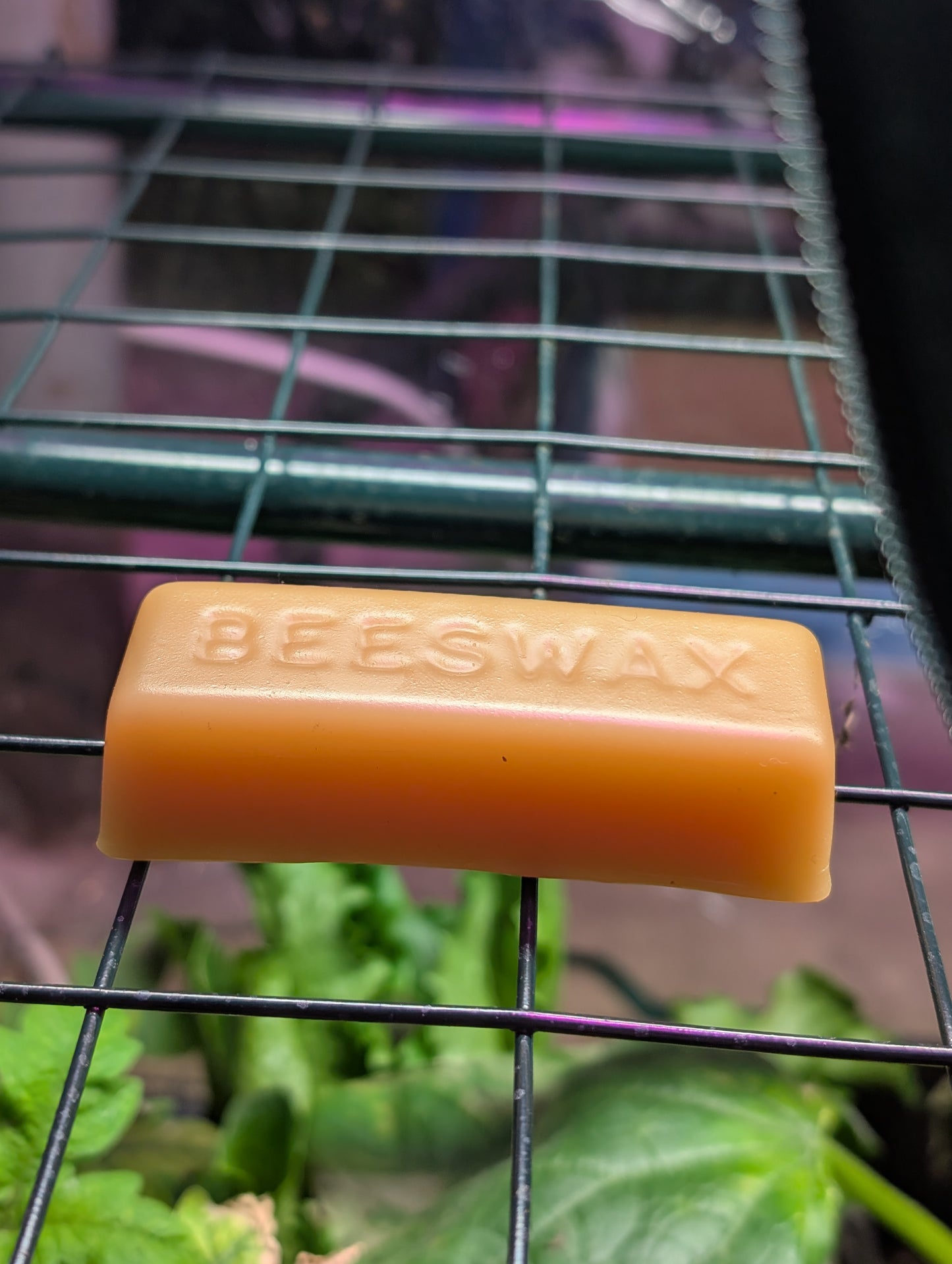 1 oz Beeswax Block
