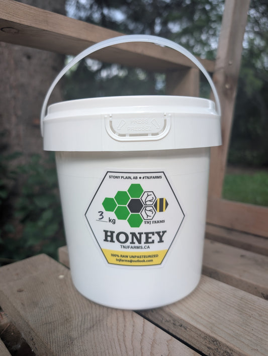 3 Kilogram Unpasteurized Honey