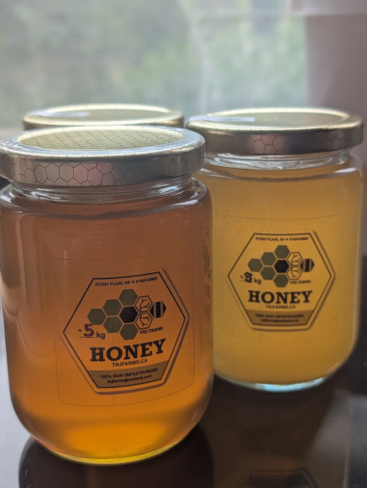 0.5 Kilogram Unpasteurized Honey